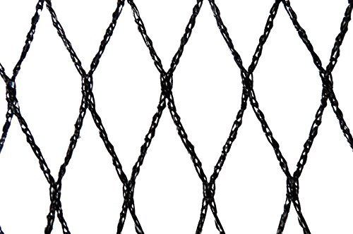 Filet Anti-Oiseaux - Maille de 22mm Noir 10m x 10m