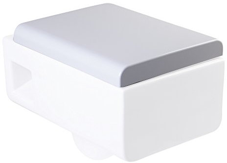 EAGO R-333SEAT Replacement Soft Closing Toilet Seat for WD333, White