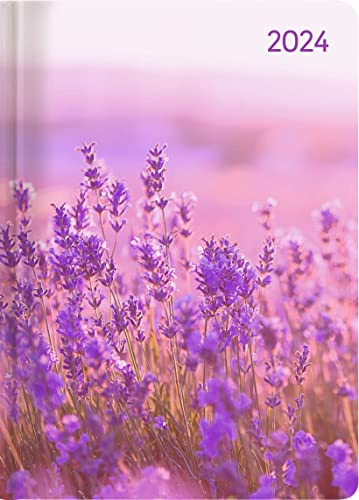 Alpha Edition Agenda Settimanale Ladytimer 2024, formato tascabile 10,7x15,2 cm, LAVANDA, 192 pagine