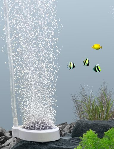 boxtech Pietra ad Aria per Acquario Nano, Ultra Alto Ossigeno Disciolto Pietra Porosa, Diffusore di Ossigeno Ultra Silenzioso per Acquari (50mm)