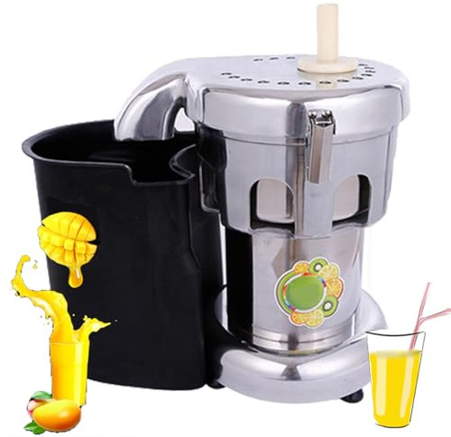 Professionell juicemaskin, Centrifugaljuicer Juicermaskiner för hela frukt- och grönsaksjuice i rostfritt stål (B)