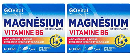 Alvityl Magnésium marin Vitamine B6 boîte de 45 Comprimés (1/24 heures : 45 jours) lot de 2 boîtes