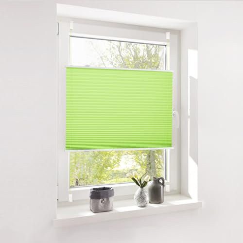 Deswell Plissee ohne Bohren Klemmfix Grün B100 x H120 cm Plisseerollo Sonnenschutz und Sichtschutz Jalousien Easyfix Plissees Lichtdurchlässig Rollo für Fenster & Tür