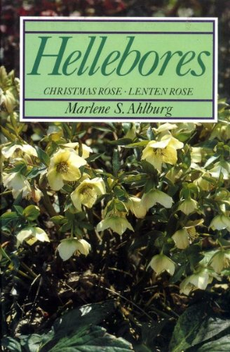 HELLEBORES: Christmas Rose, Lenton Rose
