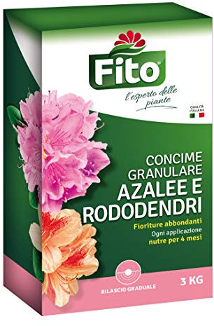 Fito Azalee RODODENDRI GRANULARE