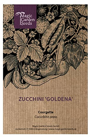 Zucchina gialla 'Golden' (Cucurbita pepo) - circa 10 semi