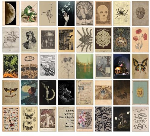 97 Decor Vintage Posters for Room Aesthetic - 40pcs Vintage Art Wall Collage Kit, Fairycore Room Decor, Witch Goblincore Pictures Cottagecore Posters for Teen College Dorm Bedroom Decoration (4x6)