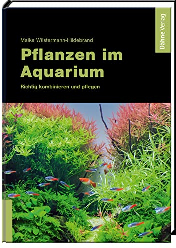 Pflanzen im Aquarium: Richtig kombinieren und pflegen
