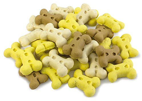 ARQUIVET Galletas para Perros en Forma de Mini Huesos de Vainilla 10 Kg - Snacks Naturales para Perros - Golosinas, chuches, premios y recompensas caninas