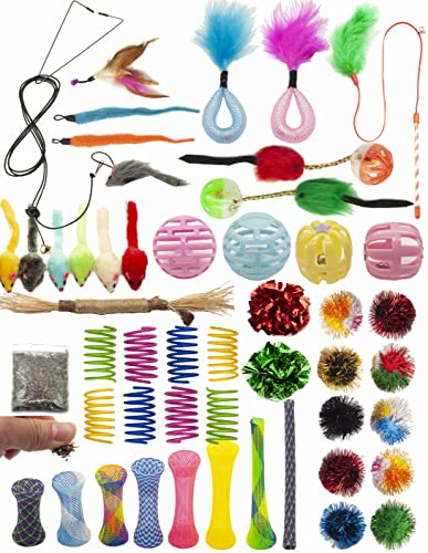 Fashion's Talk Cat Toys 50 Pcs for Indoor Cats,Interactive Door Hanging Mice Feather Toy Cat Spring Toy Cat Wand Catnip Crinkle Balls Silvervine Stick