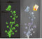 HGDESIGN® Wandtattoo Leuchtend Wandaufkleber leuchtsticker 3D Schmetterling Blumenranke Wohnzimmer Schlafzimmer Wanddeko (B)