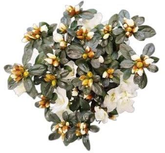 DECOALIVE Azalea con Flor Natural Blanca – Perfecta para Jardines y Terrazas