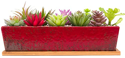 ARTKETTY Grand Pot de Fleurs rectangulaire en céramique de 30,5 cm avec Plateau de Drainage, pour Cactus d'intérieur, Plantes succulentes, bonsaï Peu Profond, décoration de Jardin