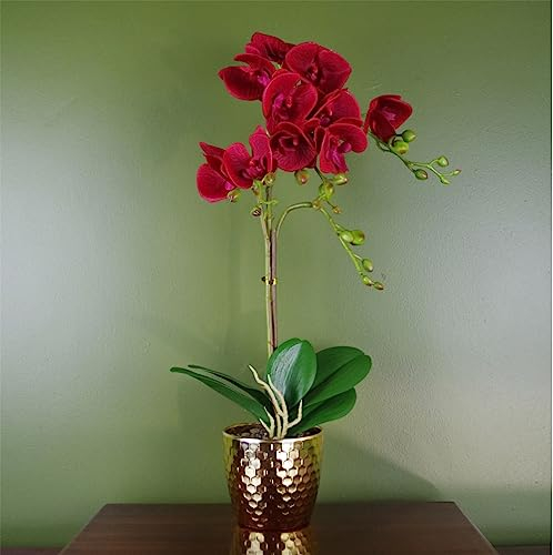 Leaf 50cm Phalaenopsis Orchid Artificial - Dark Red - Gold Pot