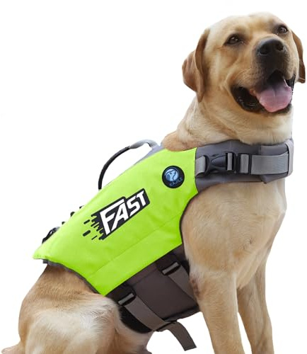 KAJILE Chaleco Salvavidas Perro Ajustable,Traje Baño Mascota,Verde,L