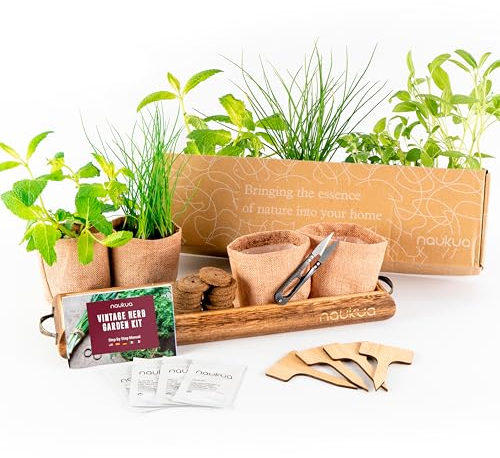 Kräuter Anzuchtset - Kräutergarten für Innen (Schnittlauch, Oregano, Salbei, Spearmint) - Bio Nicht-GVO Kräuter Saatgut, in Spanien produziert
