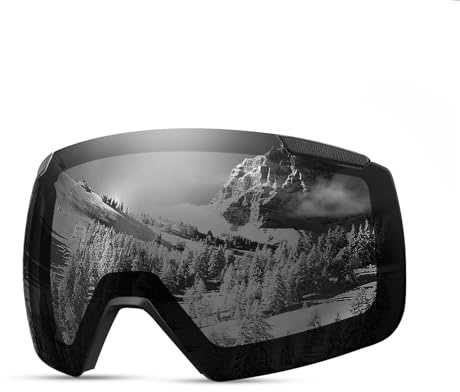 OutdoorMaster Heron Ski Goggles Magnetic 2 Lens Toric Set Anti-Fog UV400