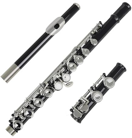 Flauto Flauto nero Chiave d'argento16 Fori aperti chiusi Chiave C Strumento musicale da concerto per flauto traverso professionale