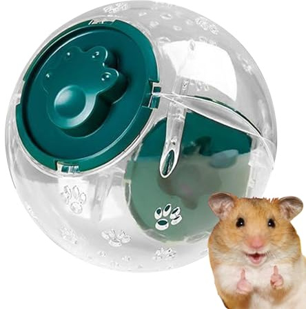 Hamster Träningshjul Genomskinligt Ventilerat Hamsterhjul För Fitness | Burutrustning Aktivitetshjul För Smådjur Till Barn Vuxna Och Familjer