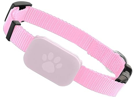 Kattspårningshalsband - GPS-halsband För Kattungar | Justerbart Vattentätt Halsband För Små Och Medelstora