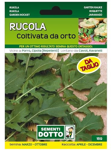 Sicignano | Semi Rucola Coltivata da Orto, Taglia Media, Busta Extra - 1 Confezione da 17g, Germinazione Facile, Raccolto Continuo da Aprile a Dicembre