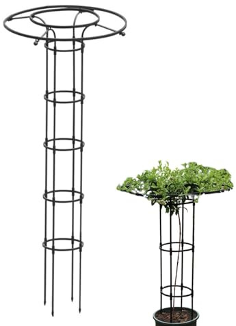 Enrejado de jardín – Estante de soporte para plantas de interior, estructura trepadora para enredaderas de plantas, valla de hierro decorativa, marco de soporte para plantas en maceta, soporte de