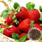 100 Semillas de Fresa Trepadora Roja – Strawberry Seeds for Planting, Semillas de Fresas Orgánicas No Transgénicas para Huerto y Jardín en Casa (450 piezas)