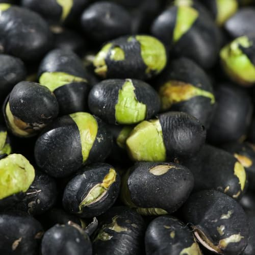 semillas de frijol negro medicinales de balcón resistentes al invierno semillas interior jardín decorativas perennes resistentes jardín interior 40pcs