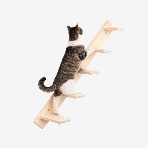 Scaletta per Gatti da Parete in Legno d'Abete Artigianale, Scala 5 Gradini Destra, per Giocare e Arrampicata per gatti con Resistenza Fino a 20 kg - Percorsipergatti