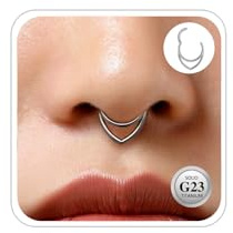 ESHIONER G23 Titane Bijoux Piercing pour Conch Hélix Septum Rook Tragus Anneaux de Nez Hypoallergénique A Charnière A Clic 16G 8/10/12MM Argent Or Double Anneau Boucles D'oreilles Cartilage pour Femme