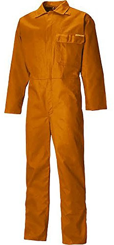 Dickies Mens Everyday Flame Retardant Coverall (40R) (Orange)