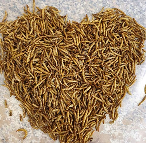 SAHAWA Mehlwürmer getrocknet 5 Liter Beutel