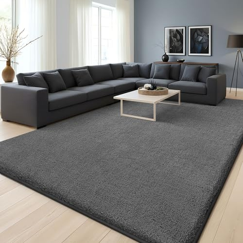 Homaxy Modern Rugs Carpet Living Room, Soft Shaggy Non-Slip Non-Shedding, Fluffy Washable Large Rug for Bedroom Hallway, Easy Care Home Decor, 140x200cm, Dark Grey