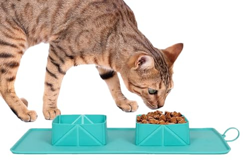 Cuenco portátil para Perro, Plato de Silicona Que Ahorra Espacio, Cuencos de Viaje de Silicona Antideslizante para Gatos, Cachorros, Razas pequeñas y Medianas, Senderismo, Camping y hogar
