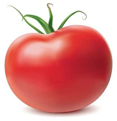 POMODORO ACE 55 VF NR.100 SEMI