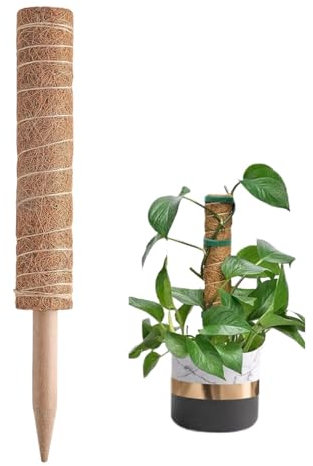 Tige de mousse pour grimpantes - Empilable - En fibre de coco - Pour en pot - Piquet de support pour lierre, philodendron et vanille