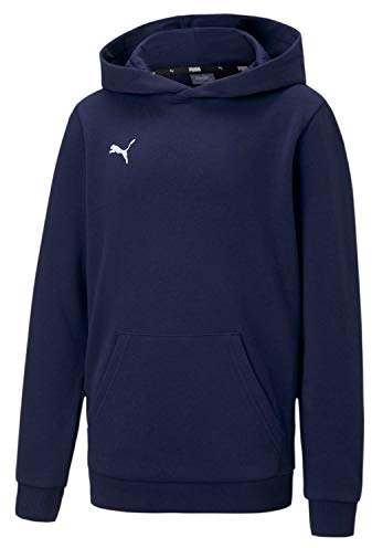 PUMA Unisex barn Teamgoal 23 Casuals Hoody Jr, torv, 140