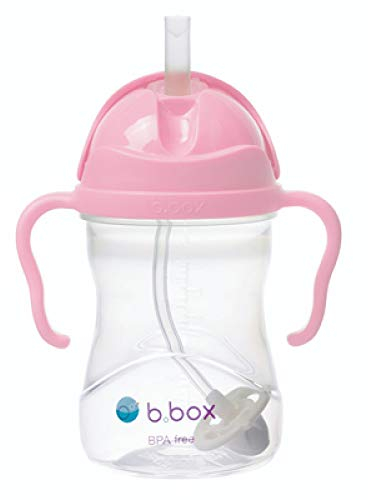 b.box Trinklernbecher Für Jeden Winkel | Flip-Top, Schwerer Strohhalm, Griff, Auslaufsicher | BPA-Frei & für Spülmaschine | Ab 6 M | 240 ml, Cherry Blossom