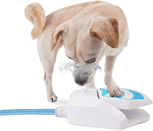 ALL FOR PAWS Outdoor Dog Garden Fountain Drinking Water Dispenser Hydration Paw Aktivated Sprinkler Cooling Toy With Connector and 145CM Schlauch, New Version
