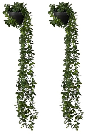 Relaxdays Konstgjord hängande växt, 2-pack, konstgjord växt i kruka, realistisk eukalyptus grön-svart