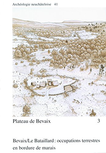 Plateau de Bevaix 3: Bevaix/Le Bataillard : occupations terrestres en bordure de marais.