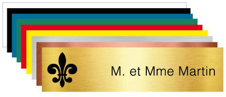 Plaque Gravée Pour Boîte Aux Lettres Personnalisable Avec Votre Nom et Prénom Ornement Lys - Dimensions 10 x 2,5 Cm - Aspect Or Brossé Avec Écriture Noir