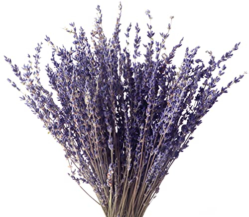 Lavendel Blumen Bouquet Natürlicher Getrockneter Lavendel Trocken Blumen Deko für Partys Esstisch Balkone Genutzt Werden Zuhause Hochzeit Dekoration DIY Geschenke ,100g