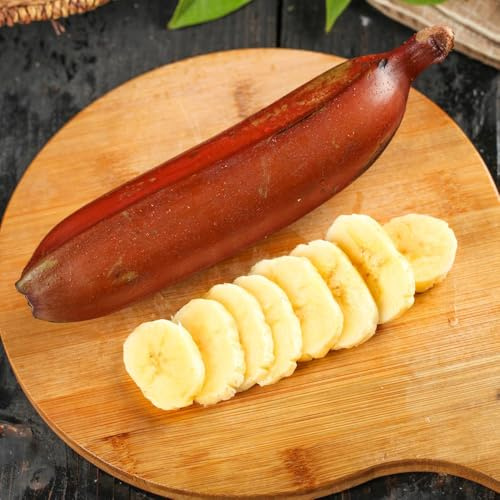 Bananenbaum - obstbäume kaufen obstsamen outdoor winterharte für garten kaufen alte sorten seltene balkonpflanzen exotische 35Samen