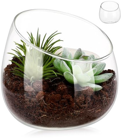 Toddmomy Glass Vase Terrarium Bowl Small Fish Bowl Transparent Terrarium Jar Vases Succulent Planters Container for Plants Succulent Pots