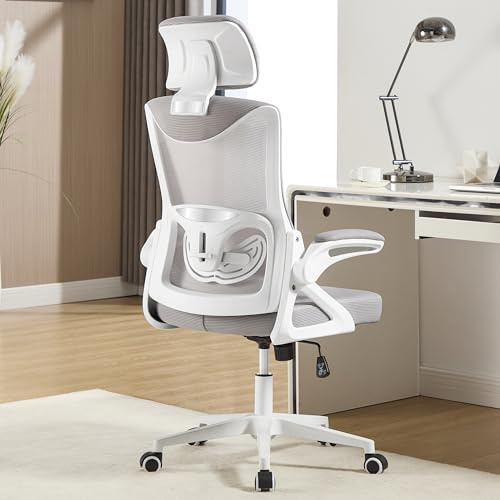 Fizzin Ergonomischer Bürostuhl Grau Schreibtischstuhl mit Verstellbarer Lendenstütze und Kopfstütze atmungsaktives Netz für Home Office und professionelle Arbeitsplätze