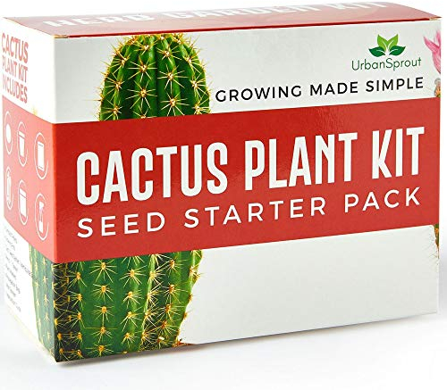 Grow Your Own Cactus Kit – 5 Seed Varieties with Complete Starter Tools – Eco-Friendly Indoor Gardening Gift Set