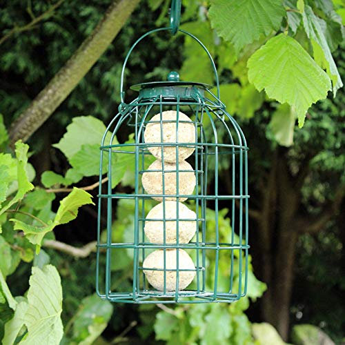 Garden Mile® Premium High Energy Wild Bird Food Outdoor Garden Bird Seed Nuts Suet Fat Balls Squirrel Guard Feeder Hanging Strong Wildlife (Standard Guard Fat Ball Feeder)
