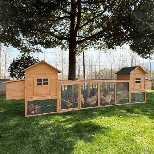 Outdoor Chicken Coop for 4-8 Chickens Wooden Hen Rabbit House Poultry Pet Hutch Run Cage w/Waterproof Asphalt Roof, Ramp, Nesting Box, Wire Fence (160)