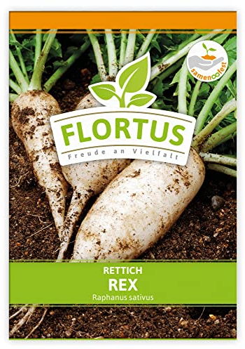 FLORTUS Rettich Rex | Gemüsesamen | Rettichsamen | Samen zur Anzucht für Garten, Balkon, Küche & Fensterbank